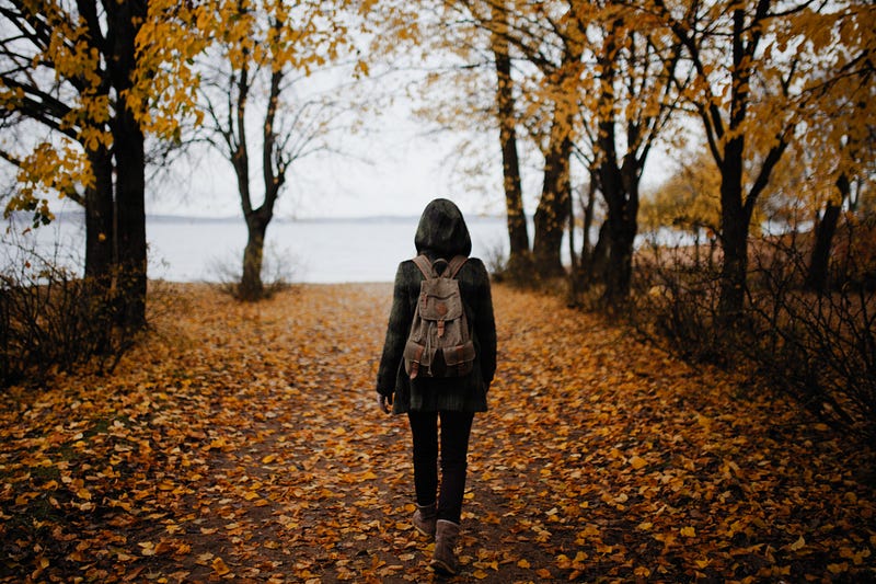 A scenic view of trees along a walking path