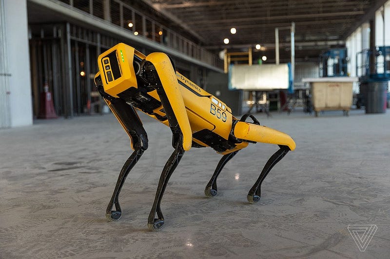 Robotic dogs assisting in the Bitcoin recovery