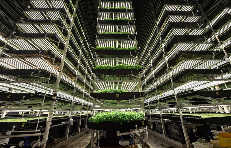 Vertical farming technology in action