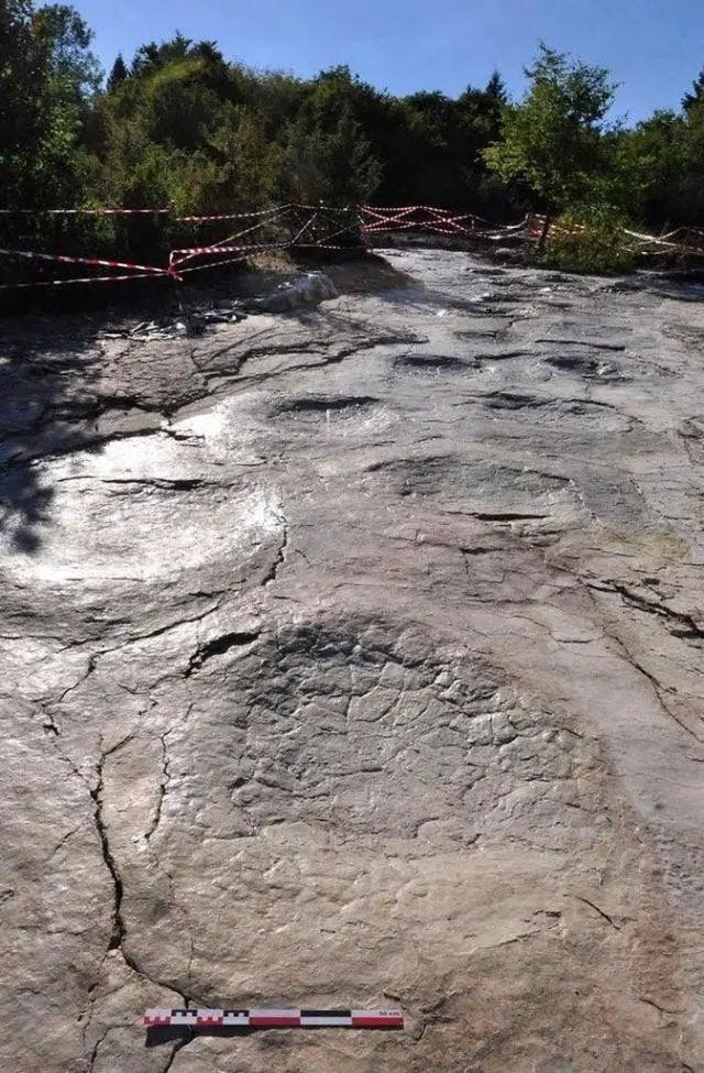 Dinosaur footprint found in France