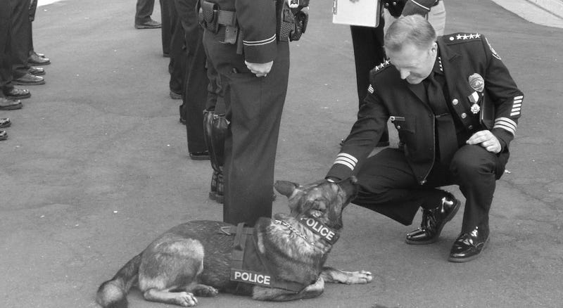 Chief John P. Weiss inspecting K9 officers