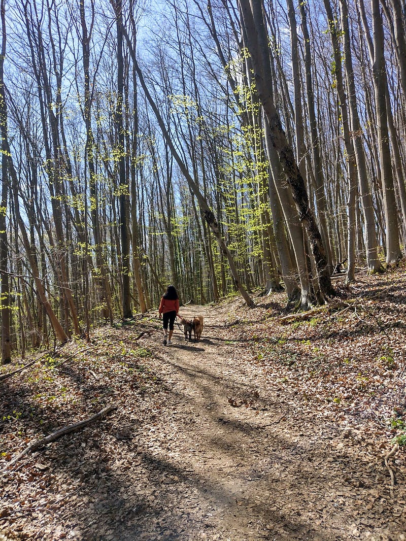 Nature walk for inspiration