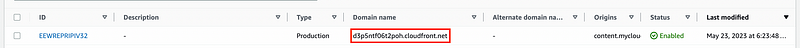 Generated CloudFront URL