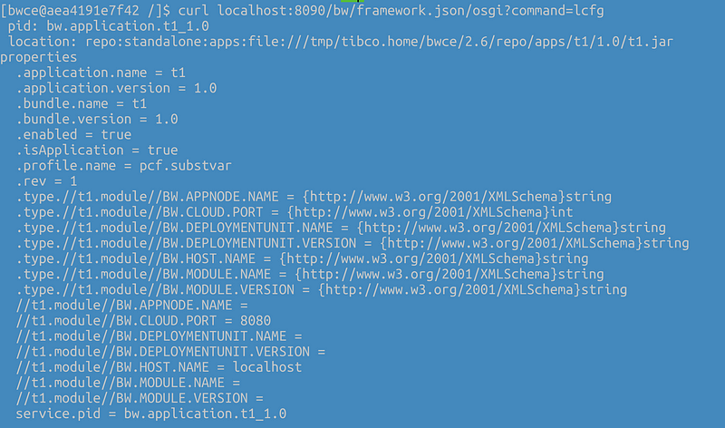 Sample output of the lcfg command in BusinessWorks