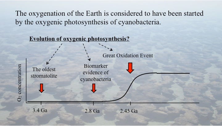 The Impact of Oxygen on Early Life Forms