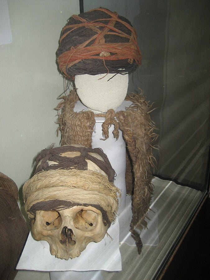 Examples of deformed skulls found in Tiwanaku