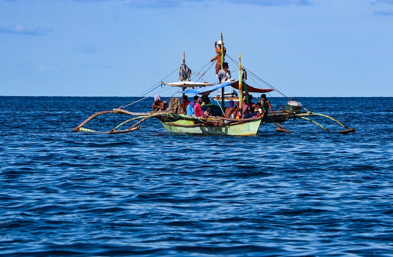 Mangrove ecosystem in the Philippines