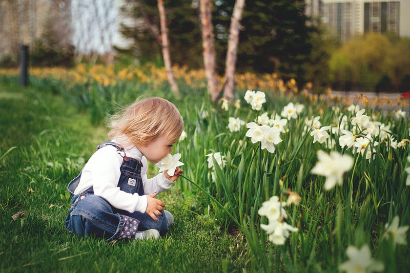 Chemical compounds responsible for laundry scent