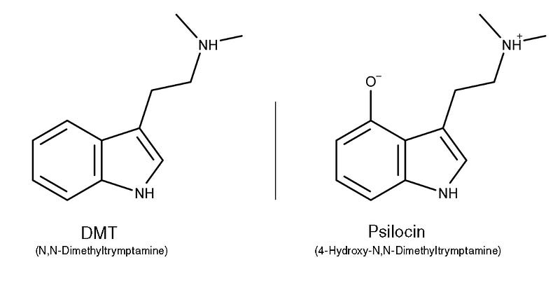 Psilocybin and Time Perception