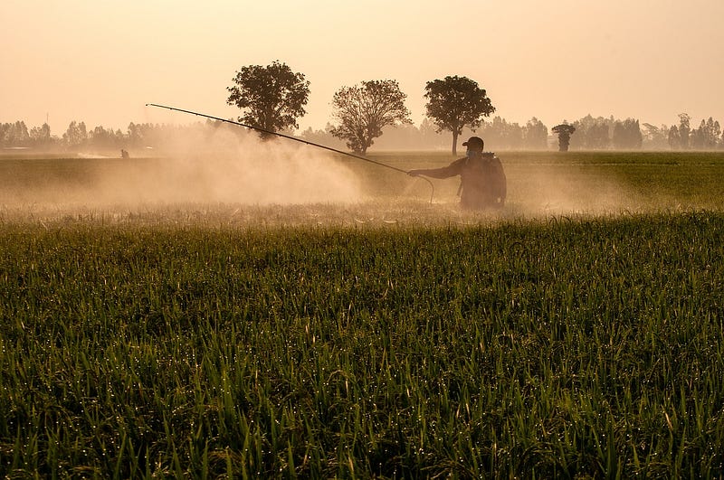 Weeds and pests in agriculture